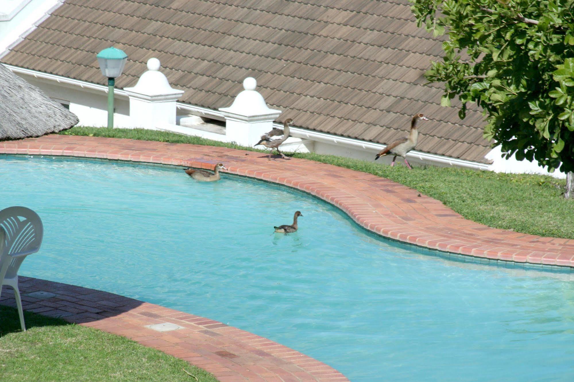 פורט אדוארד The Estuary Hotel & Spa מראה חיצוני תמונה
